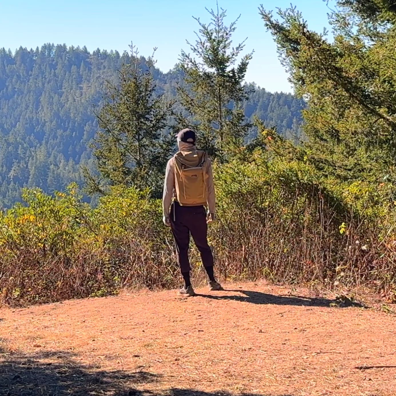 FEEL LIKE HIKING logo